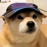 sircorgi