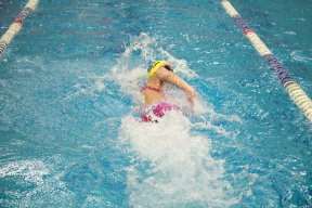 cheetahswimmer