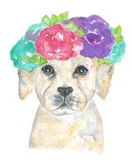 Puppy