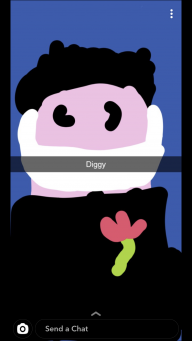 DiggyDigss